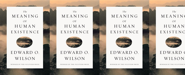 meaning-of-human-existence-covers-640w-640x260.jpg